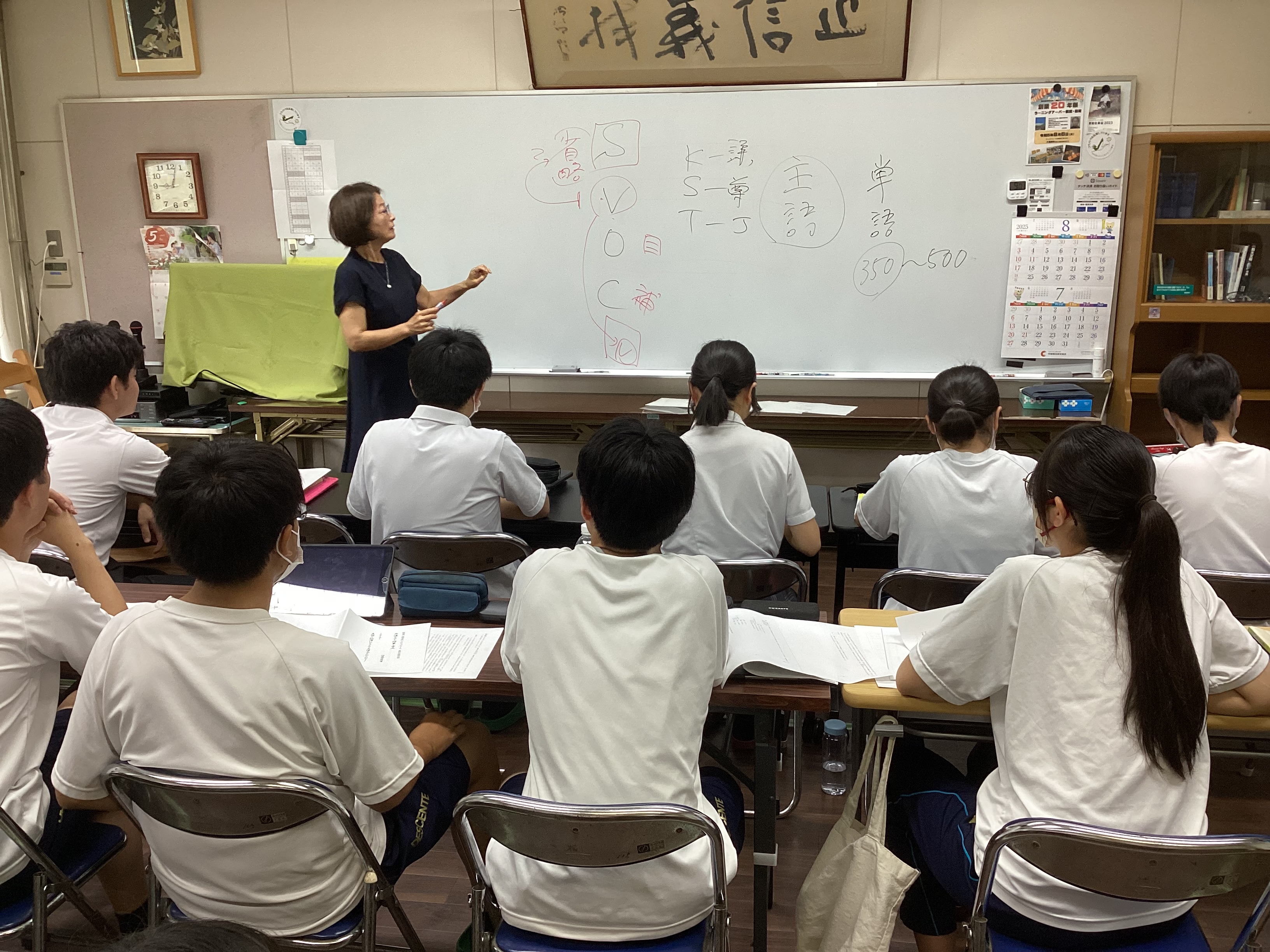 IMG_0354-715-713.jpeg
