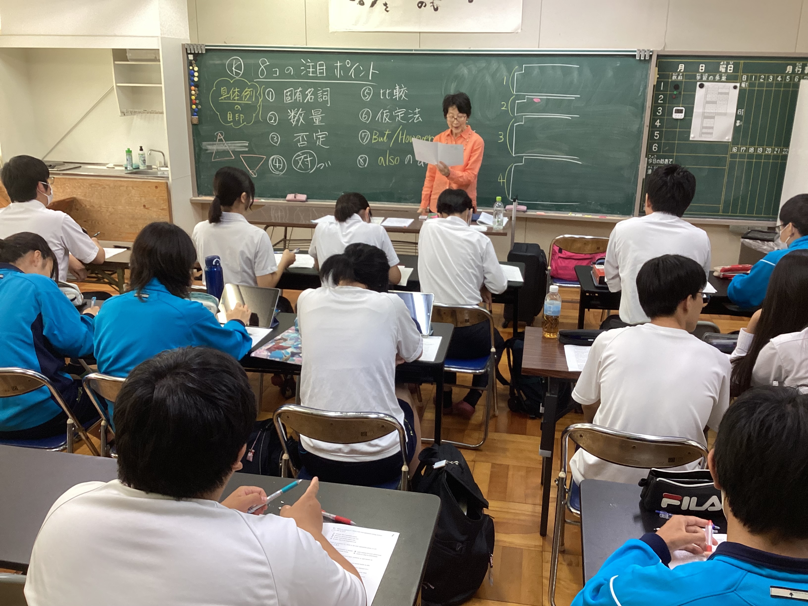 IMG_0377-515-91.jpeg